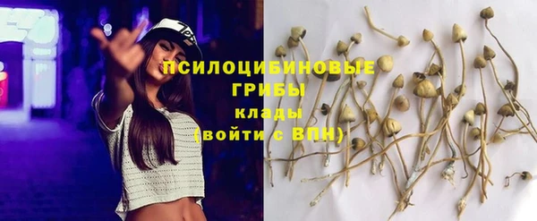 кокаин премиум Верея