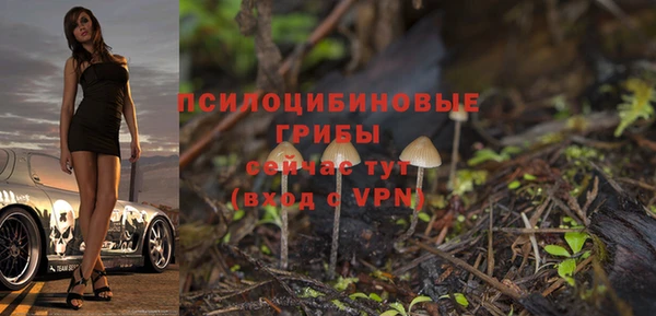герыч Верхний Тагил