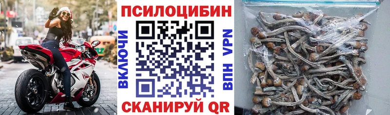 Галлюциногенные грибы Cubensis  как найти закладки  Голицыно 